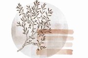 观影指南《海角网站》内容生态全解