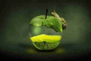 体验分享《榴莲社区》社群运营全解